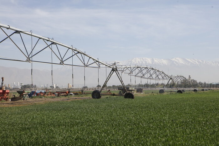 بهرهوری از منابع آبی و رشد ناخالص داخلی؛ ۲ اقدام موثر در بخش کشاورزی