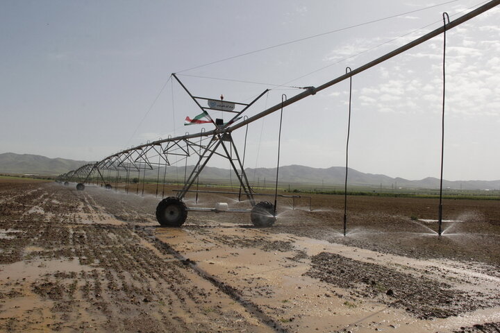 بهرهوری از منابع آبی و رشد ناخالص داخلی؛ ۲ اقدام موثر در بخش کشاورزی