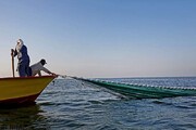 توسعه صید دریایی دستور کار سازمان شیلات ایران نیست