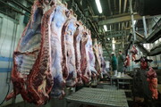روند ریزشی قیمت گوشت قرمز به دلیل وفور عرضه در بازار
