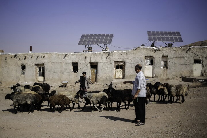 ایجاد شغل و سرپناه؛ عیدی کمیته امداد به محرومان