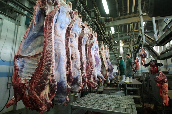کاهش ۴۰  درصدی مصرف گوشت در کشور