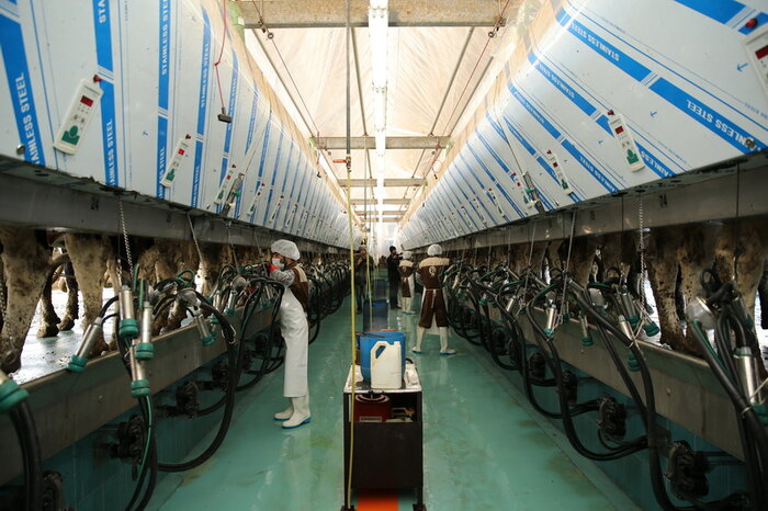 نرخ ۶۴۰۰ تومانی شیرخام توسط شورای قیمتگذاری تعیین شده است