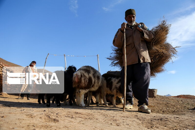 ایجاد اشتغال برایهزار و۷۱۳باتسهیلات روستایی