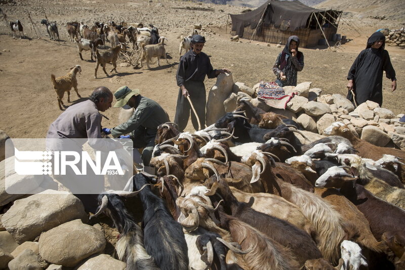 طرح روستای بدون بیکار در ۷۰ نقطه کشور اجرا شد