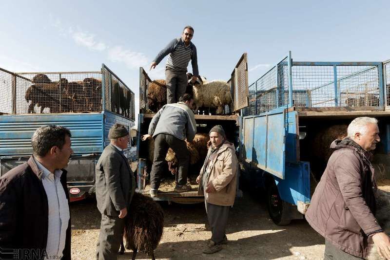 مشکلات فعالان بازار دام بندرترکمن و چند خبر کوتاه از گلستان