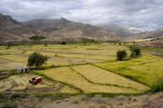 توسعه کشاورزی ایران با تصویب طرح مشارکت بخش دولتی و خصوصی