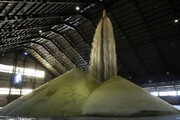 خوزستان شکر ۳۱ میلیون نفر را تامین می‌کند