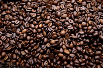 پای صنعت «قهوه» اندونزی به همدان باز شد 