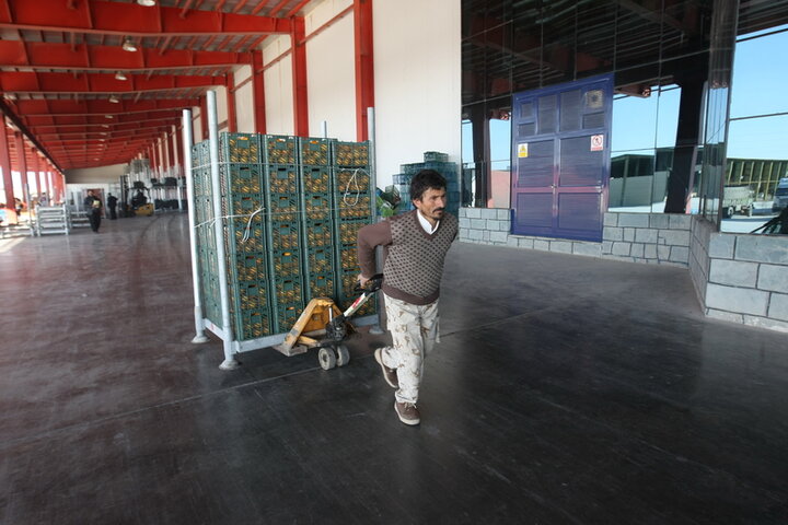 عظم مسئولان ارشد گیلان برای کاهش زمان ترخیص کالا در گمرک