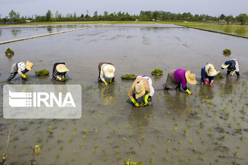 فرماندار آستارا: جهش تولید راهکار دور زدن تحریمهاست