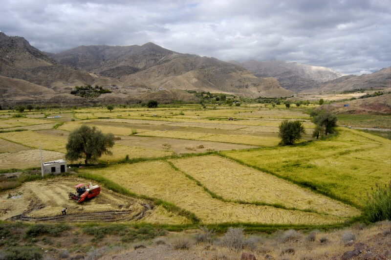 تصاویر هوایی ۱۲.۵ میلیون هکتار اراضی کشاورزی تهیه شد