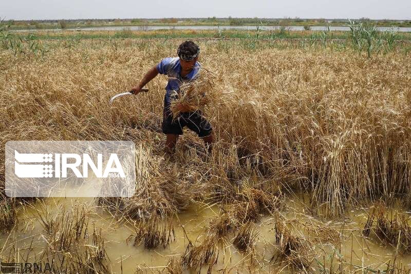 ۱۸۶۳ میلیارد ریال وام به سیل‌زدگان پرداخت شد