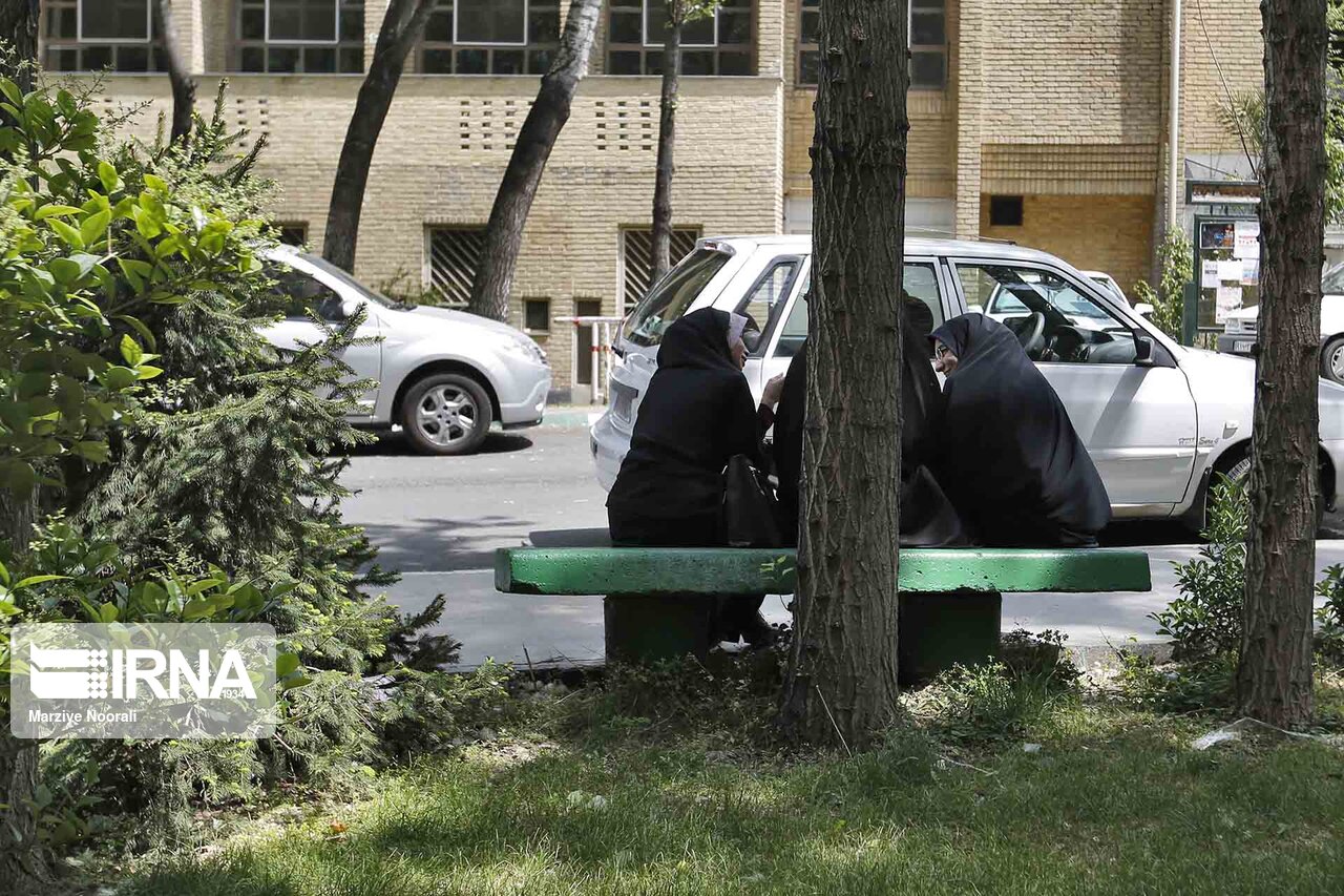 دبیر هماهنگی اقدامات فرهنگی دانشگاههای دخترانه منصوب شد دبیر هماهنگی اقدامات فرهنگی دانشگاههای دخترانه منصوب شد