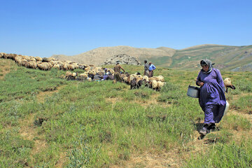 عشایر آذربایجان‌غربی سالانه ۷۵۰۰ میلیارد ریال کالا تولید می‌کنند