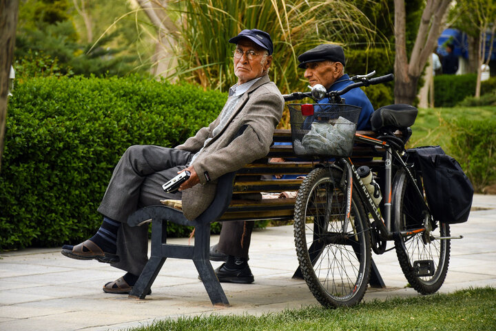 همدلی با فشارهای روانی کرونایی بر سلامت سالمندان