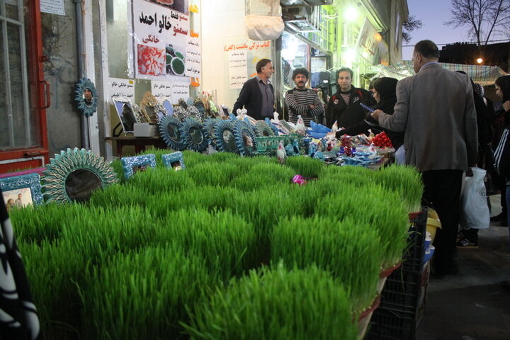 هشدار یگان حفاظت محیطزیست؛ فروشندگان به فکر فروش مار و لاکپشت نباشند