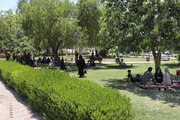 ۶۰درصد آبیاری فضای سبز تهران از پساب خواهد بود