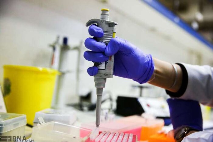 سرنوشت تابعیت فرزندان حاصل از ازدواج مادران ایرانی/بیشترین آمار در ۴ استان