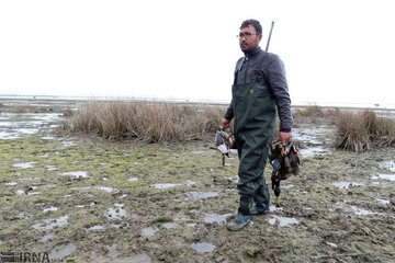 تشدید برخورد محیط‌زیست مازندران با شکارچیان غیرمجاز
