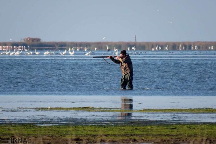 طرح پاییزه کتاب تادرخواست از رئیسجمهور برای تکمیل پروژههای نیمهتمام