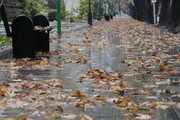 باران ۱۲ شهرستان خراسان رضوی را فرا گرفت