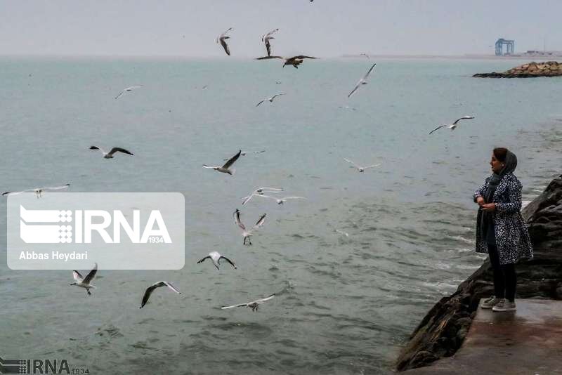 آبهای شمالی خلیج فارس تا سه روز آینده مواج است