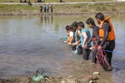 ۲۵ نفر در آبگیرها و رودخانه های فارس غرق شدند