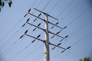 کاهش ۶ درصدی تلفات شبکه توزیع برق مازندران در دولت تدبیر