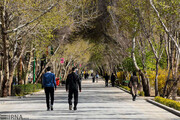 مسیر ویژه خودروی برقی و دوچرخه در چهارباغ اصفهان ایجاد می شود