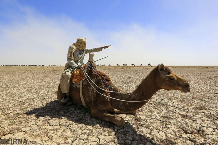 ۲۶ استان در معرض توفان گرد و غبار/جزییات گسترش کانونهای داخلی تولید ریزگرد