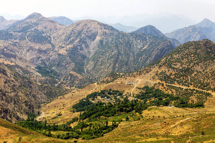 استاد گونشناسی ایران: ۶۰۰ گونه گون بومی در کشور شناسایی شده است