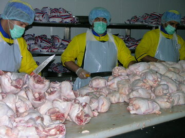 عرضه گوشت مرغ در خراسان شمالی با قیمت پایین‌تر از نرخ مصوب