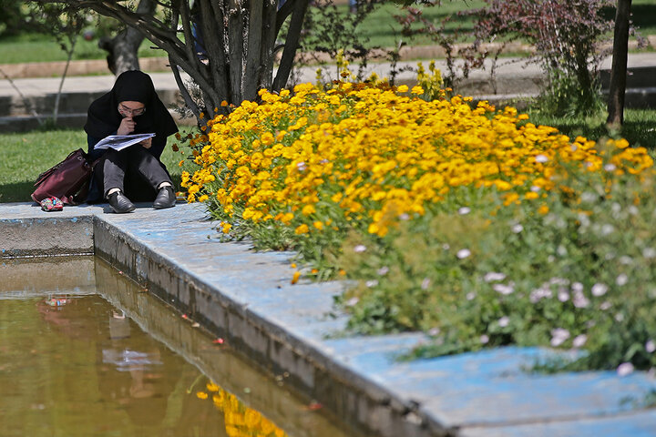 مطالعه کردن سلامت روانتان را تقویت میکند