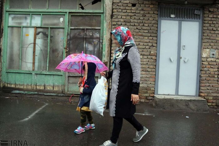 تشکیل صندوق ضمانت تسهیلات زنان سرپرست خانوار / ارتقای ساختار تشکیلاتی بانوان 2