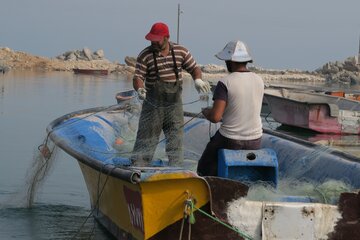 رئیس شیلات آستارا: سهمیه سوخت قایق‌های صیادان پیگیری می‌شود