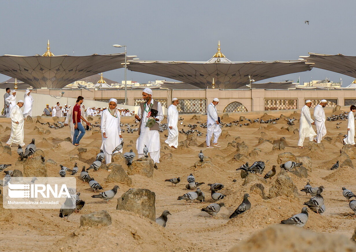 امام سجاد (ع) زینت عابدان و زاهدان است