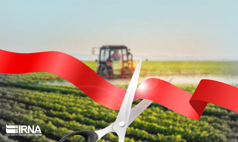 ۵۶ پروژه کشاورزی هفته دولت در کردستان به بهرهبرداری می رسد ۵۶ پروژه کشاورزی هفته دولت در کردستان به بهرهبرداری می رسد