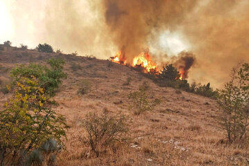 آتش سوزی خسارتی به چشمه سورت ساری وارده نکرده است