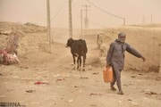 باد شدید و گرد و خاک پدیده غالب آسمان کردستان است