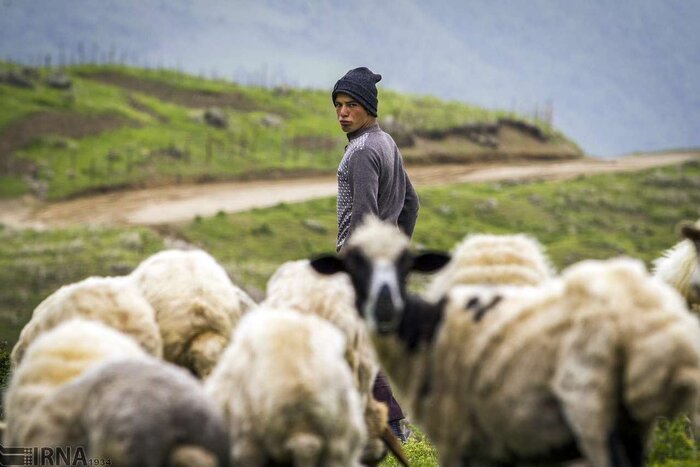 پایتخت کشتی ایران روی ریل توسعه و عمران