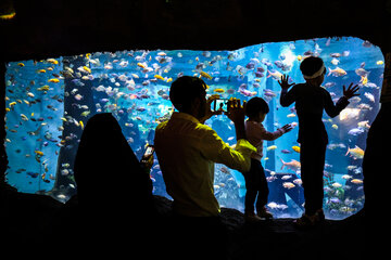 La grotte aquarium du village Ganjnameh à Hamedan