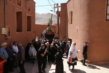 مراسم نخل گردانی عاشورا در روستای ابیانه