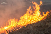 مراتع ۲ روستا در طالقان دچار آتش سوزی شد
