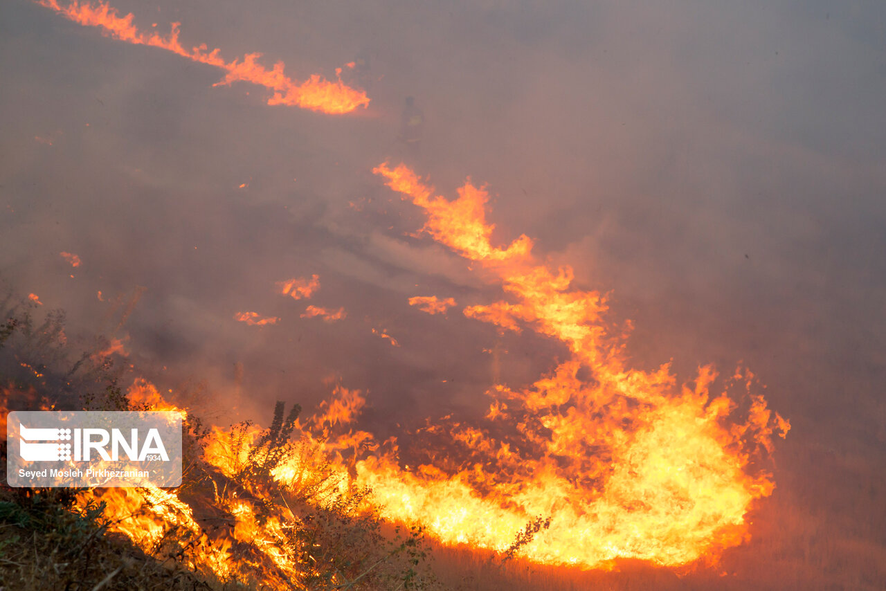 تلاش مرزنشینان گلستان برای خاموشکردن آتش مراتع ترکمنستان  تلاش مرزنشینان گلستان برای خاموشکردن آتش مراتع ترکمنستان