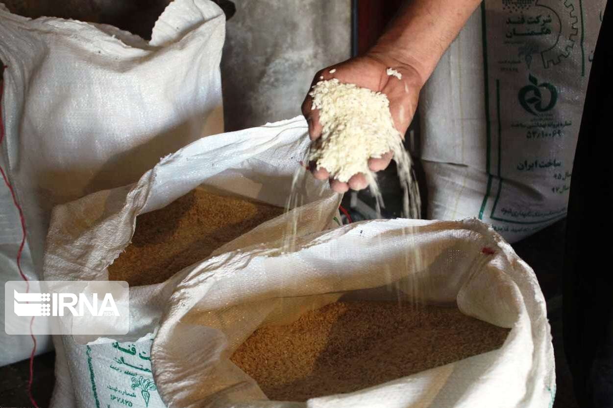 بیش از پنج هزار و ۷۰۰ تن برنج مازاد در گیلان خریداری شد