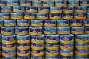 ارزش ۳۶ میلیون دلاری صادرات کنسرو ماهی/ موانع تامین سوخت صیادان فراسرزمینی برطرف شد