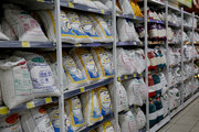 کاهش چشمگیر تورم مواد خوراکی نسبت به دولت قبل