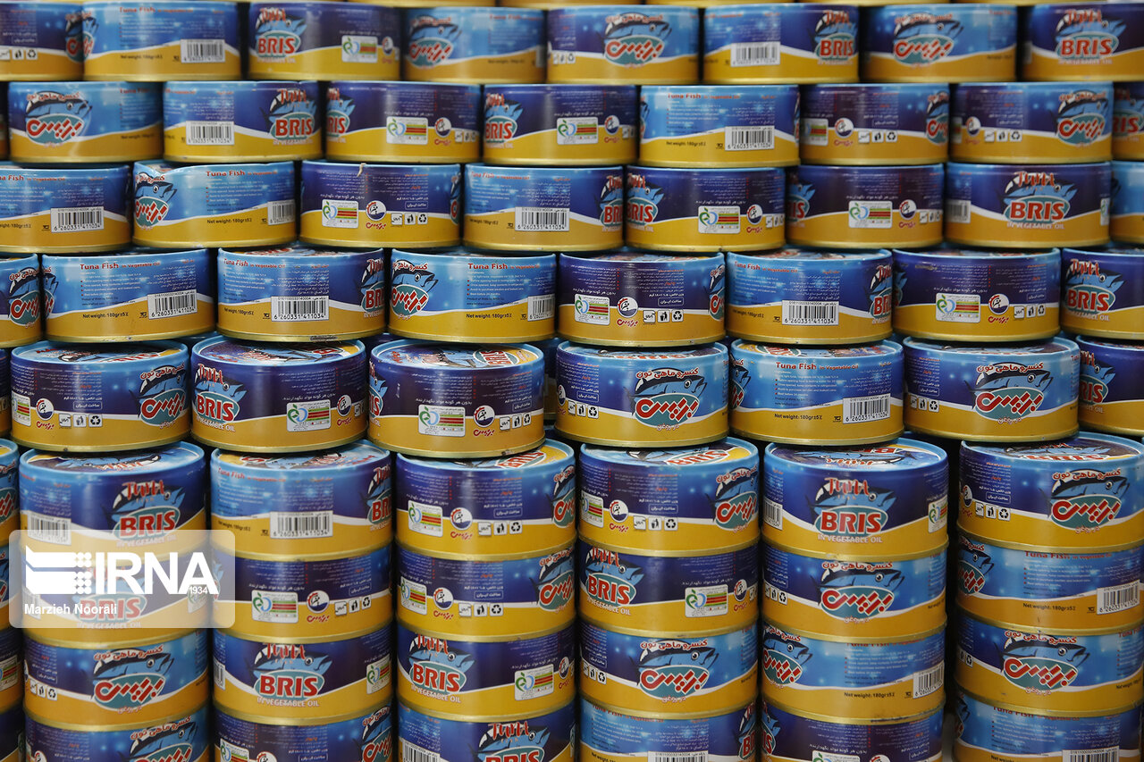 ارزش ۳۶ میلیون دلاری صادرات کنسرو ماهی/ موانع تامین سوخت صیادان فراسرزمینی برطرف شد