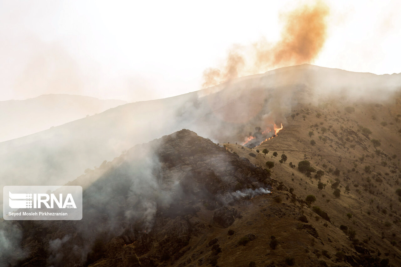 مهار آتش سوزی درمنطقه دهرود دشتستان نیازمند امداد رسانی هوایی است مهار آتش سوزی درمنطقه دهرود دشتستان نیازمند امداد رسانی هوایی است